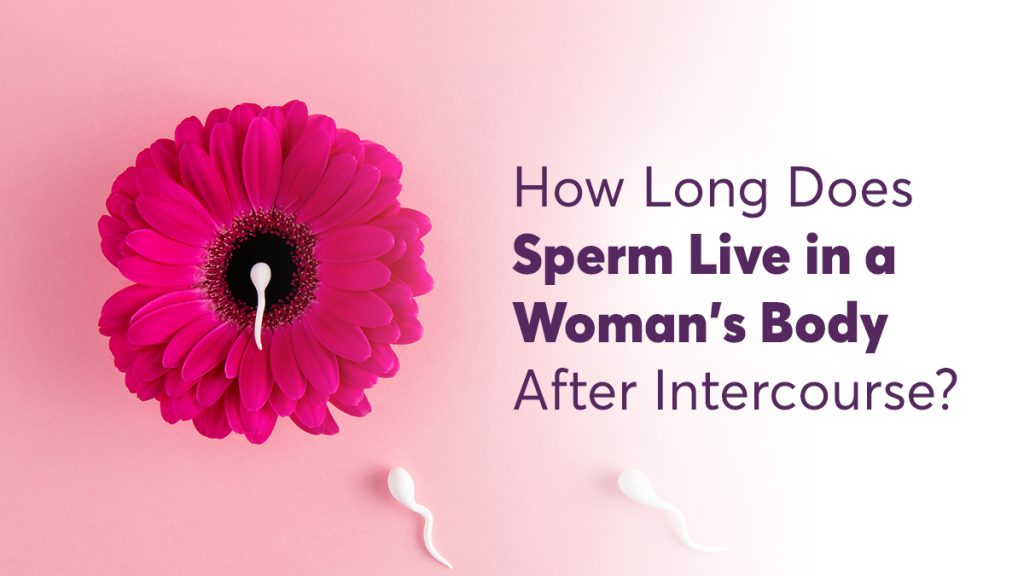 How Long Does Sperm Live in a Woman's Body After Intercourse?