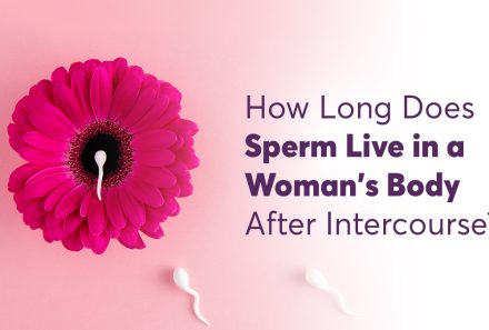 How Long Does Sperm Live in a Woman’s Body After Intercourse? 