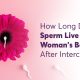 How Long Does Sperm Live in a Woman’s Body After Intercourse? 