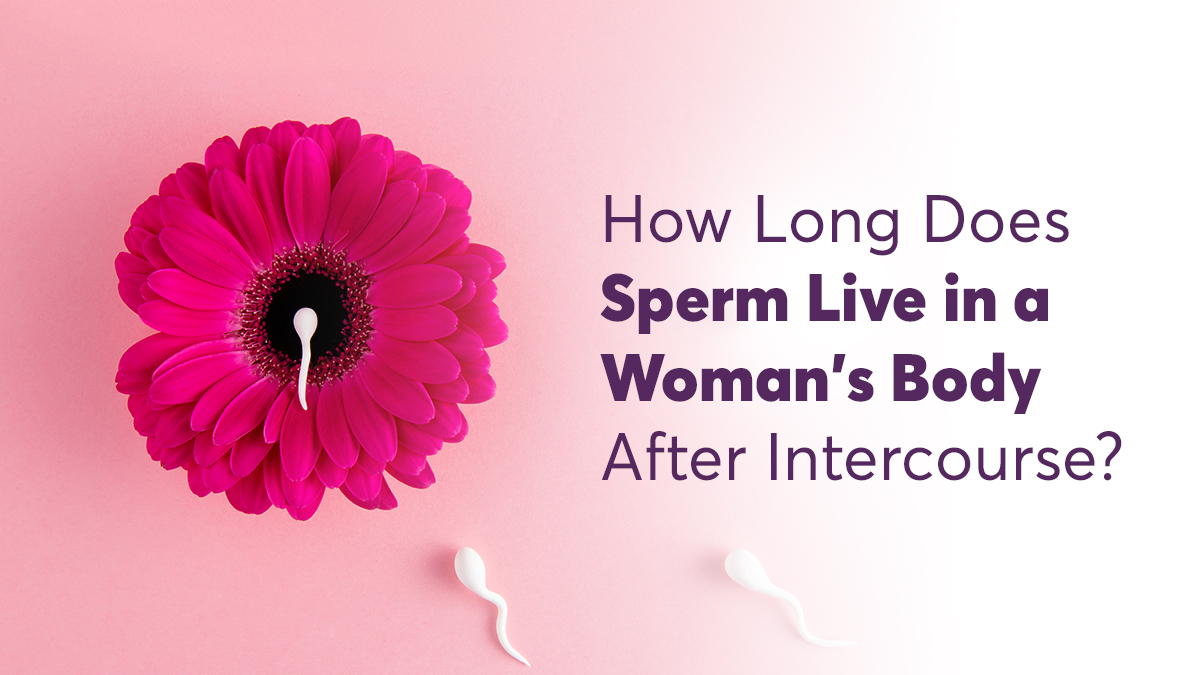 How Long Does Sperm Live in a Woman’s Body After Intercourse? 