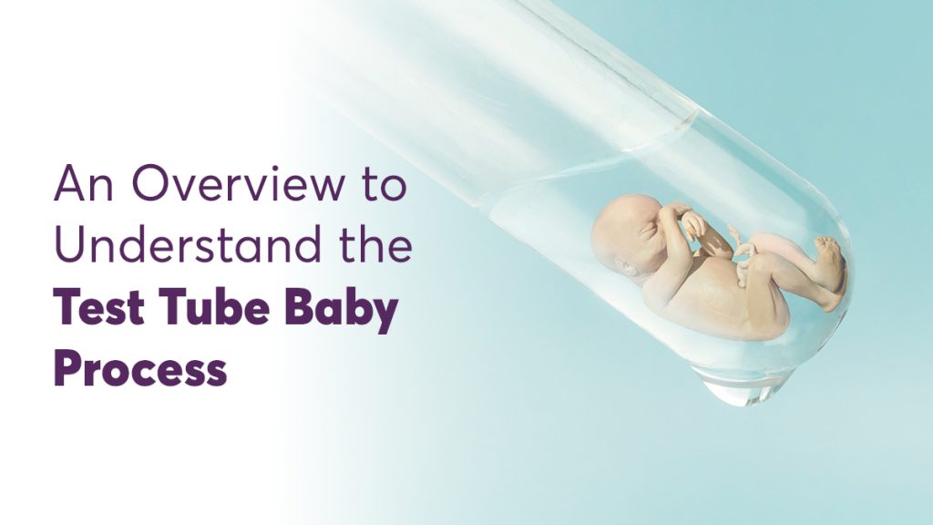 Understand the Test Tube Baby Process