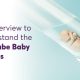 An Overview to Understand the Test Tube Baby Process