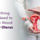 Everything You Need to Know About Bulky Uterus 