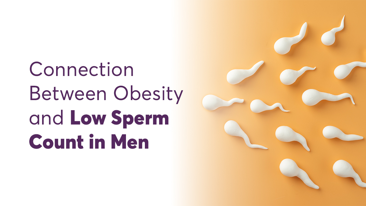 Connection Between Obesity and Low Sperm Count in Men Explained