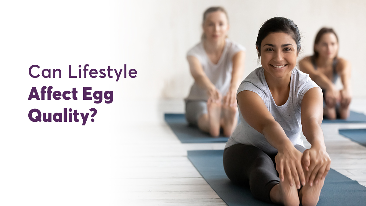 Can Lifestyle Affect Egg Quality?