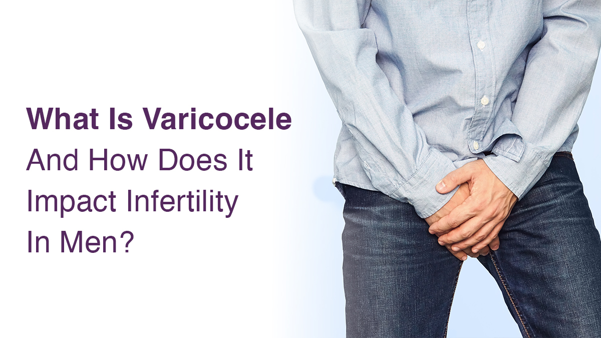 What is Varicocele and its Link to Male Infertility?