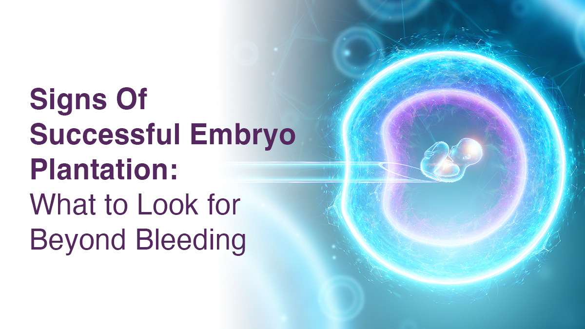 Signs Of Successful Embryo Plantation: What to Look for Beyond Bleeding