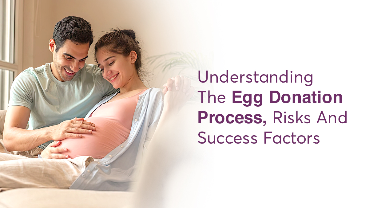 Understanding The Egg Donation Process, Risks and Success Factors 