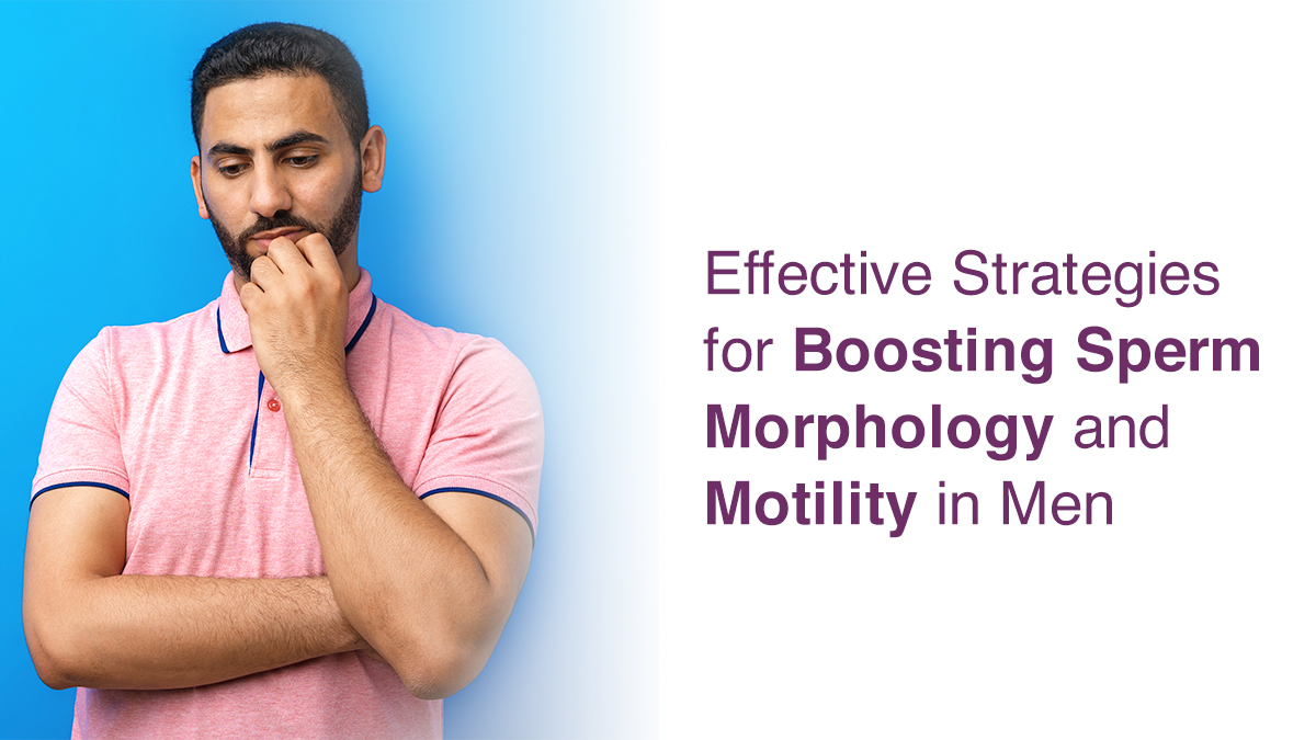 Effective Strategies for Boosting Sperm Morphology and Motility in Men