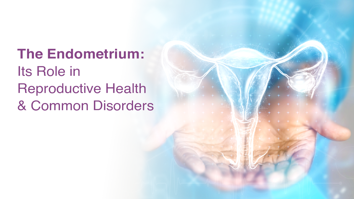 The Endometrium: Its Role in Reproductive Health and Common Disorders
