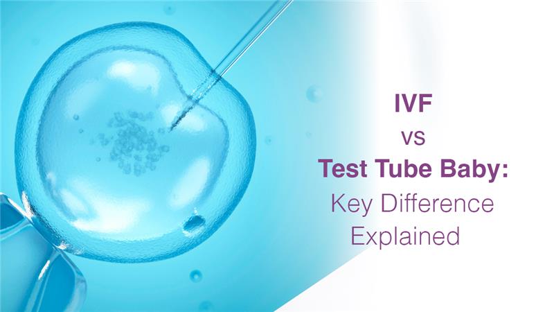 IVF vs Test Tube Baby: Key Difference Explained