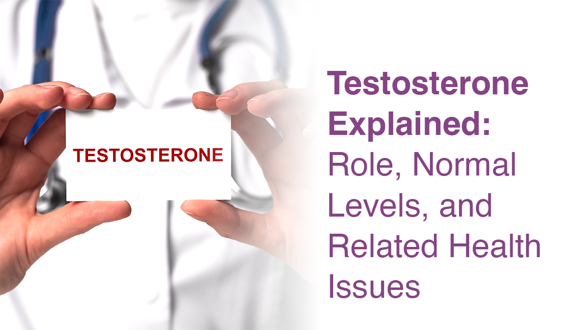 Testosterone Explained: Role, Normal Levels, and Related Health Issues