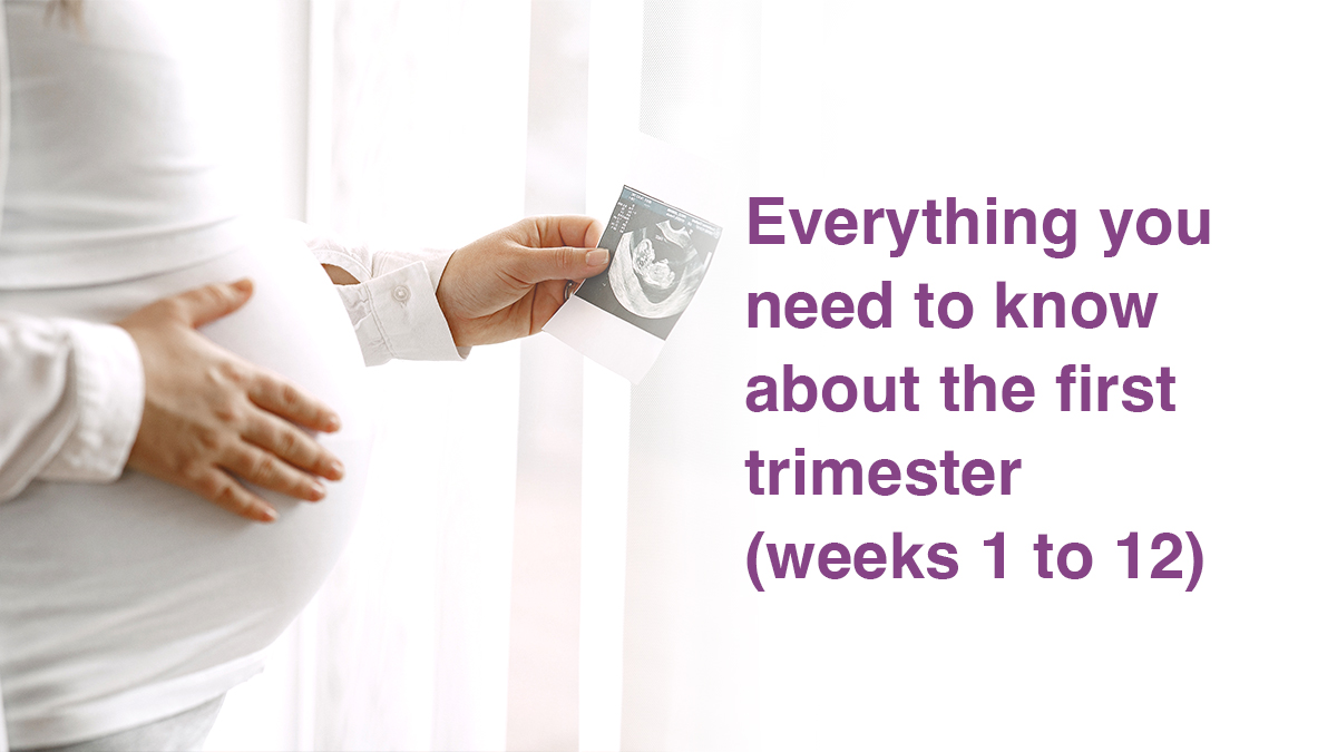 Everything you need to know about the first trimester (weeks 1 to 12) 