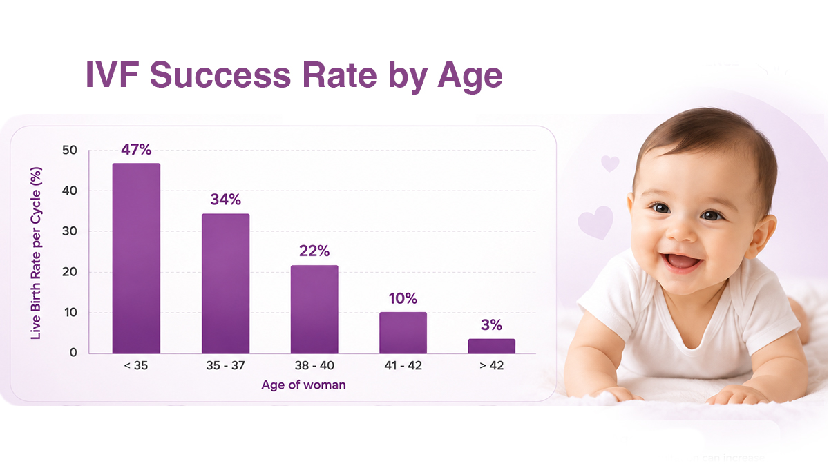 IVF Success Rate by Age: Full Breakdown – 2026